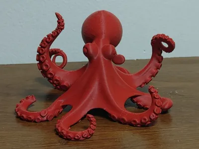 Octopus 