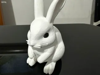 Rabbit Bunny - Eyes