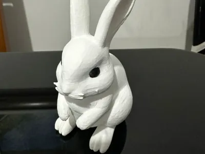Rabbit Bunny - Eyes