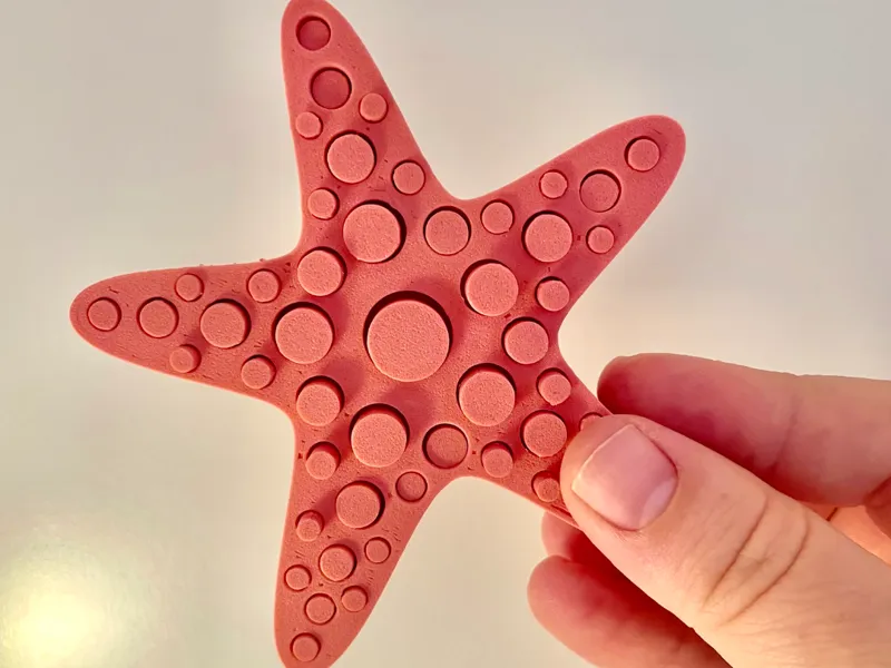 Starfish Pin Art Fidget
