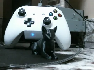 desk cat