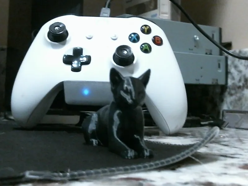 desk cat
