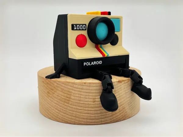 https://makerworld.bblmw.com/makerworld/model/US5951854cec2984/design/2025-06-15_f4d1e9ba19fb98.jpg