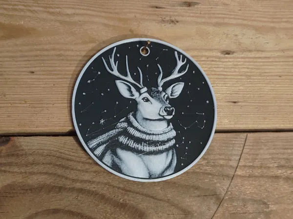 https://makerworld.bblmw.com/makerworld/model/US59548e9e1f30c0/design/2024-12-07_766ed218a68e9.png