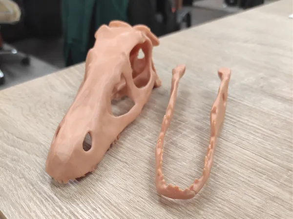 https://makerworld.bblmw.com/makerworld/model/US596142bcb7ea37/design/2025-03-11_0ba396eb8d26c8.jpg