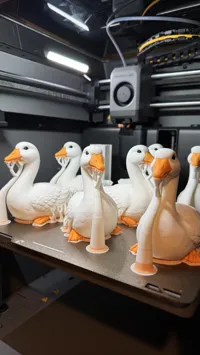 x7