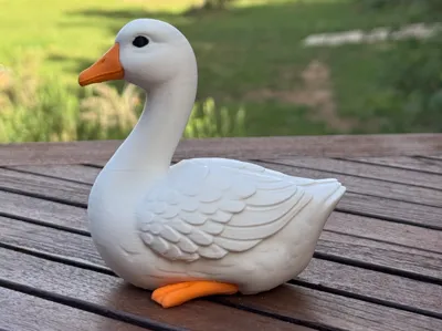 Cute goose