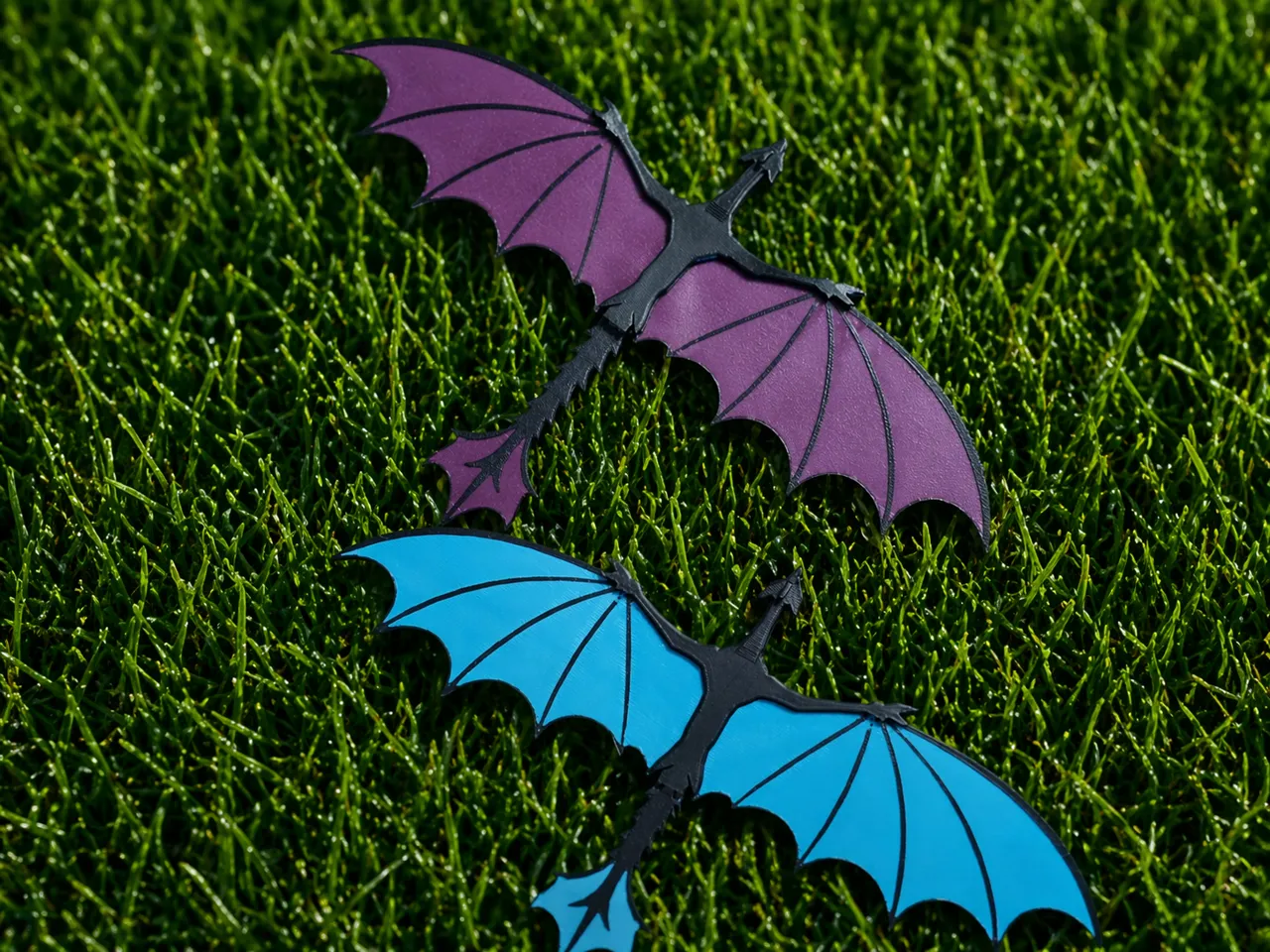 AeroDrake – Dragon Glider view 3