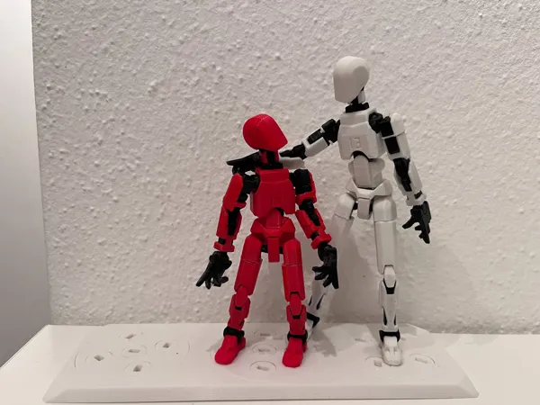 https://makerworld.bblmw.com/makerworld/model/US596a602b9e2386/design/2024-07-25_z40b55drn9rg.jpg