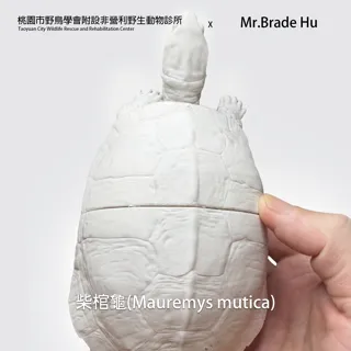 მუერმისის კუ 3D მოდელი thumbnail 2