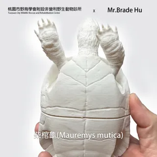 მუერმისის კუ 3D მოდელი thumbnail 3