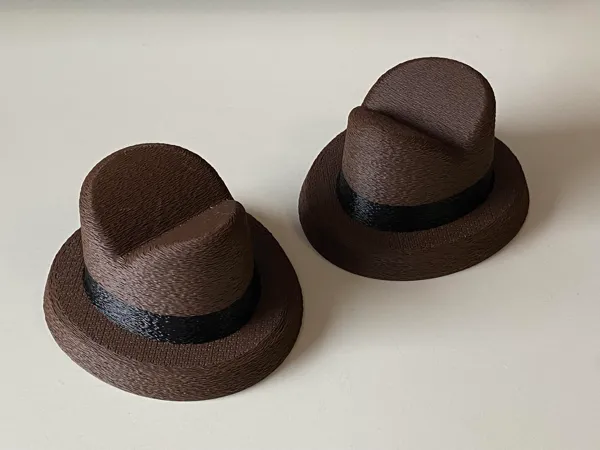 https://makerworld.bblmw.com/makerworld/model/US596face014d140/design/2025-04-01_9025a092a2403.jpg