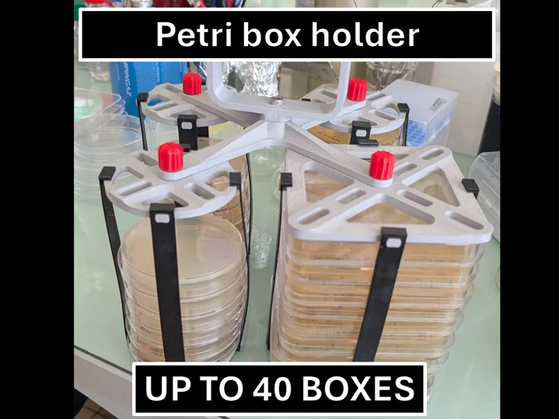Petri box holder