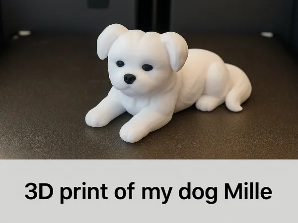 https://makerworld.bblmw.com/makerworld/model/US59780efd918677/design/2025-08-12_c63d8295a2f208.png