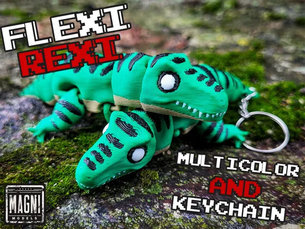 https://makerworld.bblmw.com/makerworld/model/US597958e0f1a2e4/design/2025-01-24_6d366d8e353948.jpg