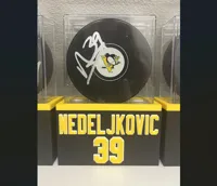 NEDELJKOVIC 39