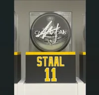 STAAL 11