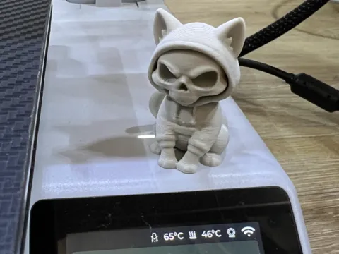 Inner Gloom – The Skeletal Cat