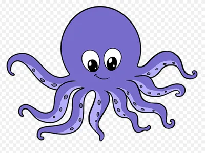 Flexi Octopus Fidget