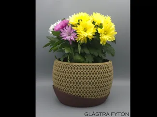 Blumen / Pflanzentopf