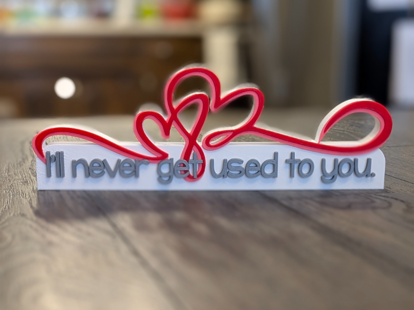 Valentines I'll Never Get Used to You table sign