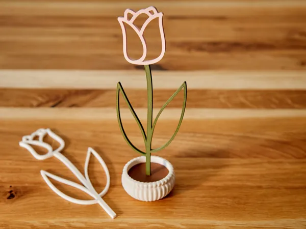https://makerworld.bblmw.com/makerworld/model/US5983651c5eb355/design/de015590819e0682.jpg