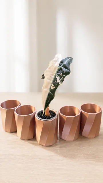 Tapa o cubierta: Modern Faceted Nursery Cover Pot with Push Hole — vista de referencia 3