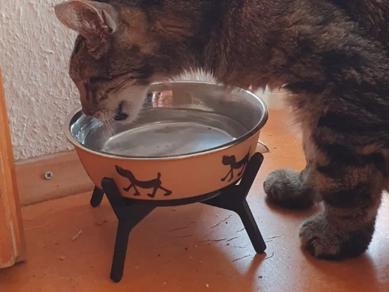 Cat Food Bowl Pedestal | Futternapferhöhung Podest