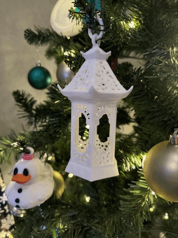 https://makerworld.bblmw.com/makerworld/model/US598d409d037ae7/design/2024-11-29_f14b813ba2996.gif
