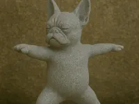 Bouledogue français maître de yoga — photo 1