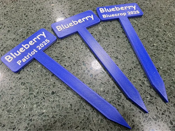 https://makerworld.bblmw.com/makerworld/model/US599c3401548c0b/design/2025-03-15_66177320d0fb7.jpg
