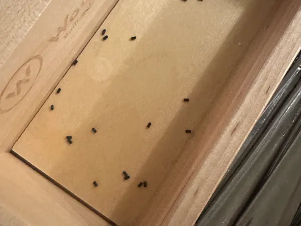 https://makerworld.bblmw.com/makerworld/model/US59a070d654b89c/design/17d3f4f339a87a0d.jpeg