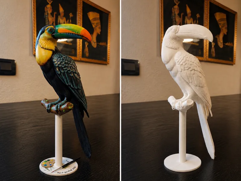 Tropical Toucan – Exotic Jungle Guardian