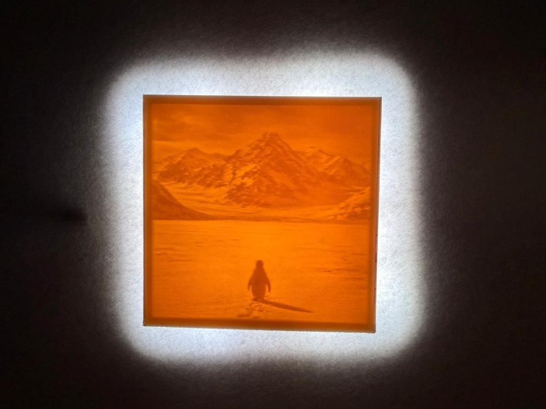 Penguin Trend Lithophane