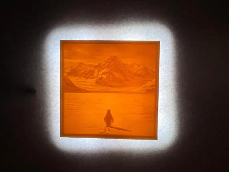 Penguin Trend Lithophane