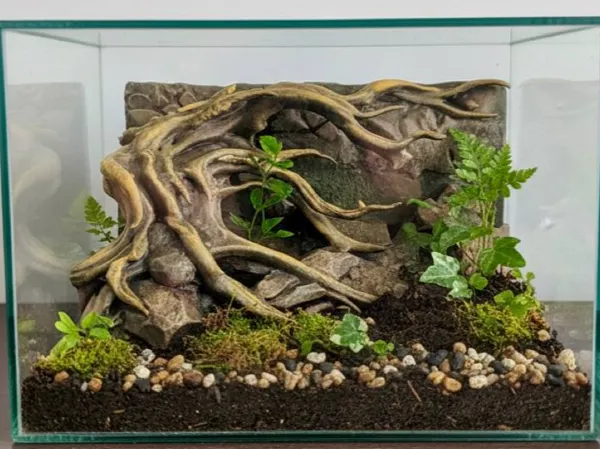 https://makerworld.bblmw.com/makerworld/model/US59b3df53020a78/design/2a2665374ac46001.jpg