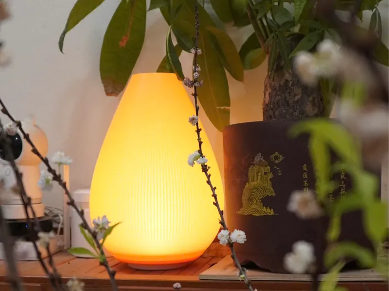 Flower bud craft lamp - No support- MH001