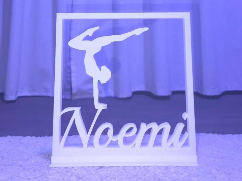 Ginnastica ritmica Noemi quadro