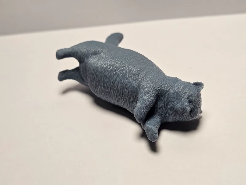 一只猫