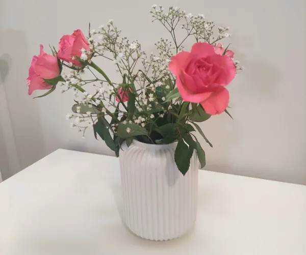 https://makerworld.bblmw.com/makerworld/model/US59c0c300fe9415/design/2024-10-06_f441c2bfad6ae.jpg