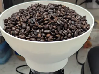 Ollygrin Conical Burr Coffee Grinder Hopper