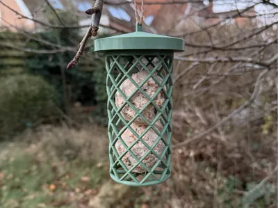 Bird feeder