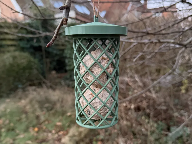 Bird feeder
