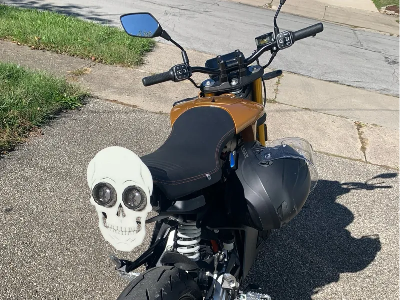Tail Light Skull Flair