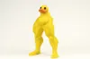 duck m multicolour
