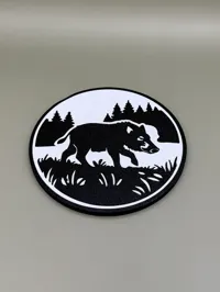 Boar