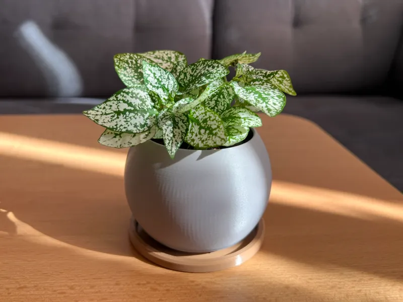 Simple planter