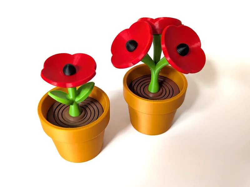 Poppy Flower - Springy Flower Collection