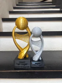 Trofeo Volley