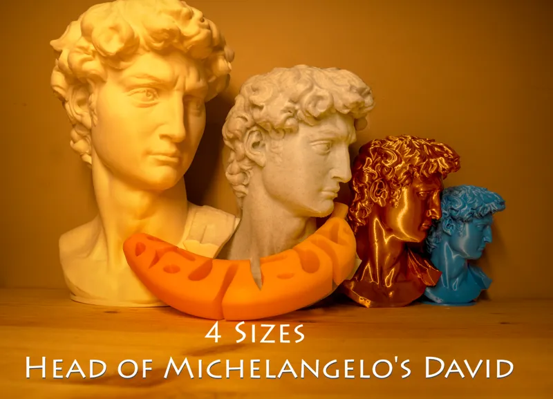 Head of Michelangelo's David